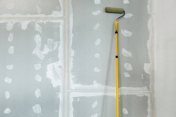 Best Mold Prevention Services  in Larned, KS