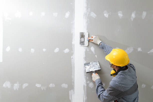 Best Mold Removal for HVAC Installations  in Larned, KS
