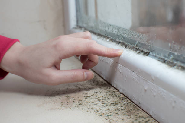 Best Real Estate Mold Inspection  in Larned, KS