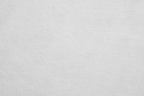 Best Black Mold Removal  in Larned, KS