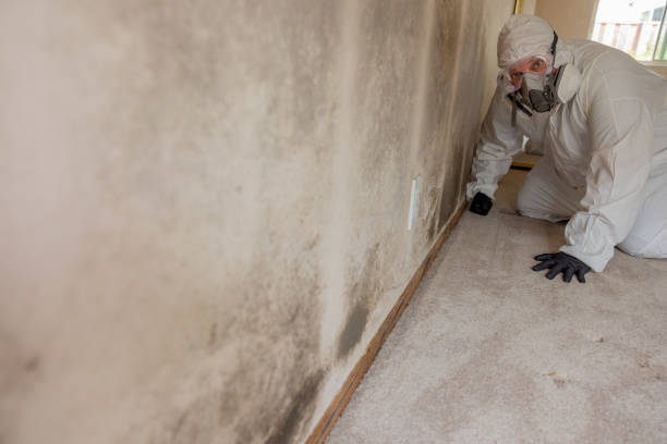 Best Airborne Mold Testing  in Larned, KS